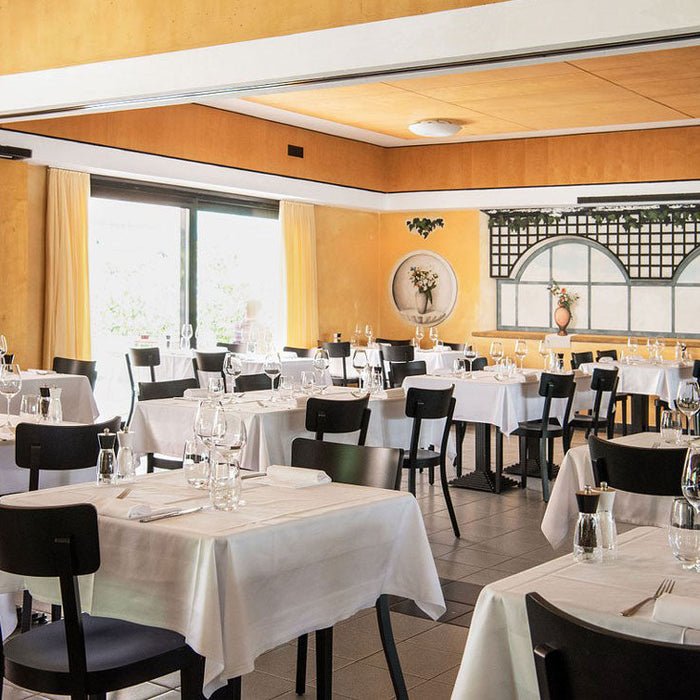 Al Giardinetto Hotel Ristorante in Biasca